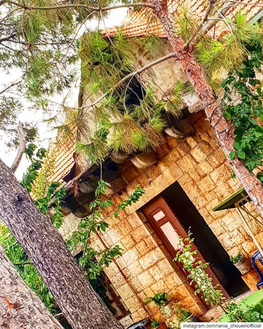  douma  oldhouses  safarbarlek  oldvillage  amazingplace  livelovedouma ... (Douma, Liban-Nord, Lebanon)