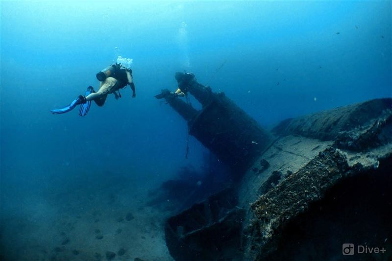 Down below, a book of war...from my  underwater  photography comes the ...