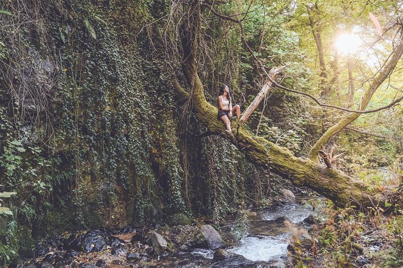 Down by the river🍃 livelovebeirut livelovelebanon  explore ... (Kadisha Valley)