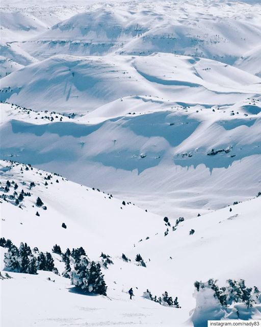 Down we go 🎿...  backcountryskiing skitouring lebanon snow  ski ...