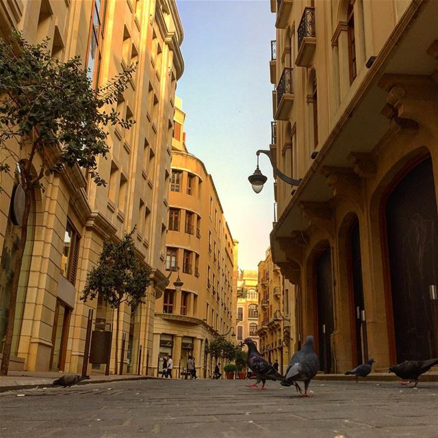  downtown  pigeons  street  architecturelovers  architecture  archilovers ... (Downtown, Beirut, Lebanon)