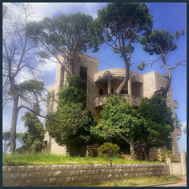 Dream of a summer between the pine trees  architecture  traditional  stone... (Ech Choueir, Mont-Liban, Lebanon)