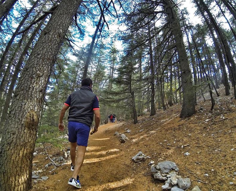 Dream without Fear, Love without Limits and Let your Life sing its Song ☘️... (Chouf)