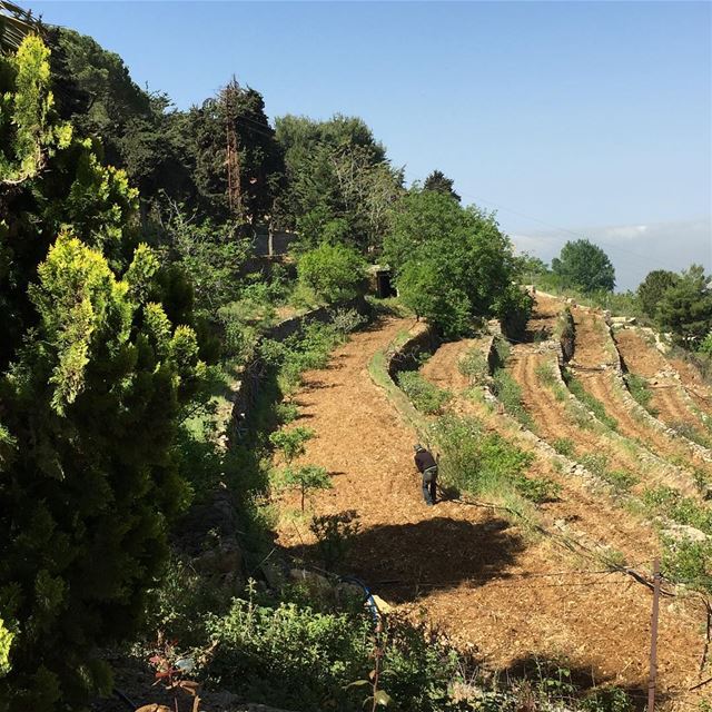 Drink from the well of yourself and begin again - Charles Bukowski  ... (Beit Ed-Deen, Mont-Liban, Lebanon)