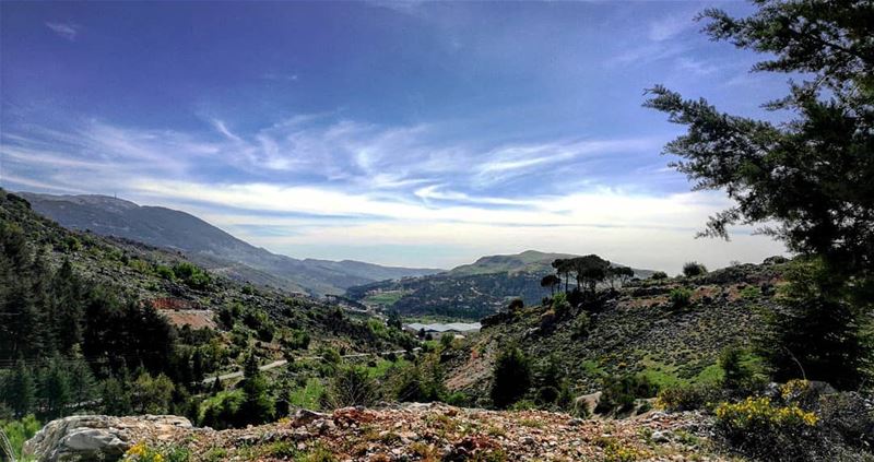 Drive & get lost in nature's beauty livelovebeirut  livelovelebanon ... (Arz el Bâroûk)