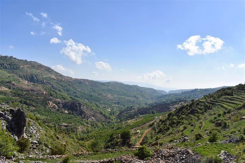 Du vert partout 🌳☘️🍀🌿🍃🌱••••••••••••••••••••••••••••••••• prolebanon... (Fakra Kfarzebian Liban)