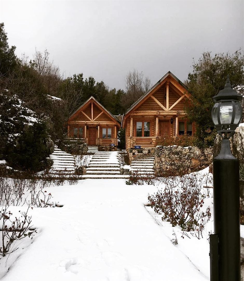 Durante o inverno no Líbano (dezembro-março), é possível visitar não... (Wood Hills Resort)