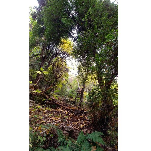 During Kadisha Valley hike... (Kadisha Valley)