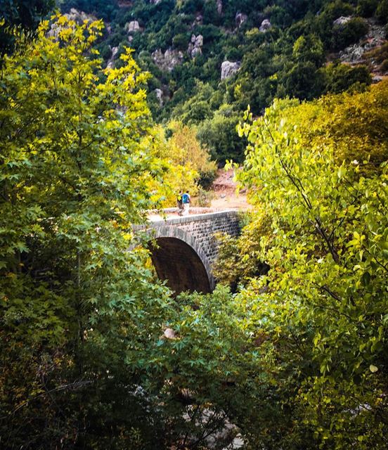 During the war some of the road bridges connecting Lebanese regions were... (Lebanon)