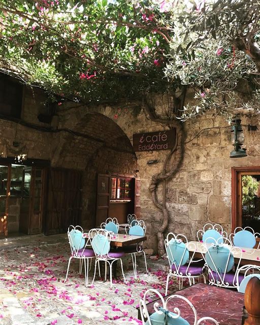 E a primavera chegou à Byblos! Estão preparados para a estação mais... (Byblos, Lebanon)