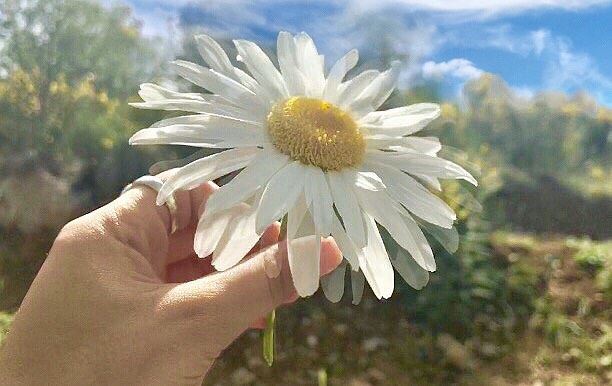 Each one of us is a different kind of flower,all together to make this... (Feitroun, Mont-Liban, Lebanon)