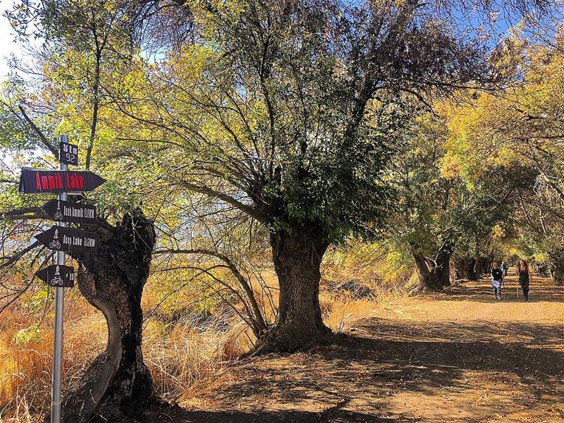 "Each Section of the Trail brings a different Beauty"  trail  hiking ... (`Ammiq, Béqaa, Lebanon)