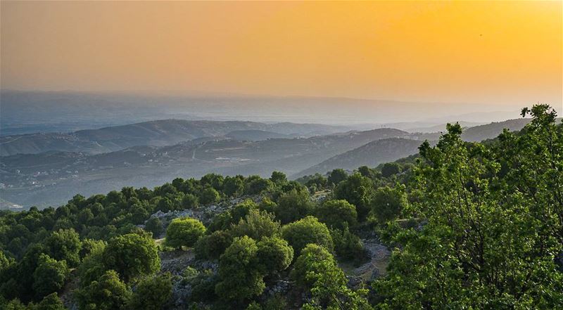 Early morning in Tashe3  akkar  lebanon ... (Tacheaa)