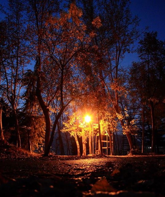 Early nights wrap longer hours around the lights.. night  nightout ... (El Laklouk, Mont-Liban, Lebanon)