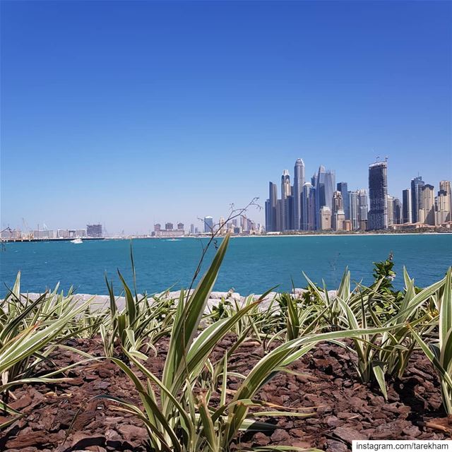 Earth Grows, Air Blows, Water Flows and Spirit knows... dubai  uae ... (Bluewaters Island)