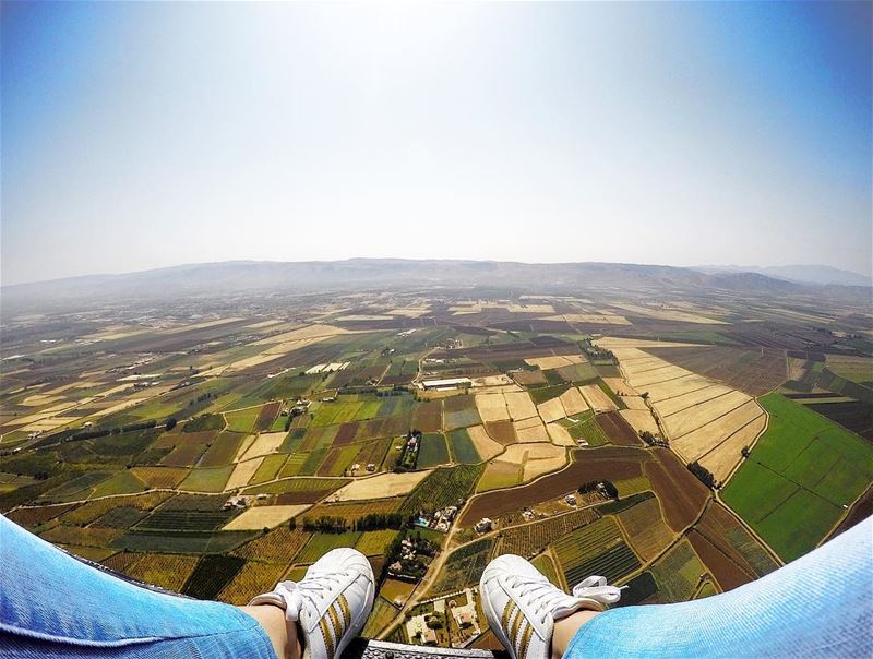 Earth•Magic•Carpet 🌍 riseabove  bekaa  valley  nature  earth  carpet ... (Beqaa Valley)