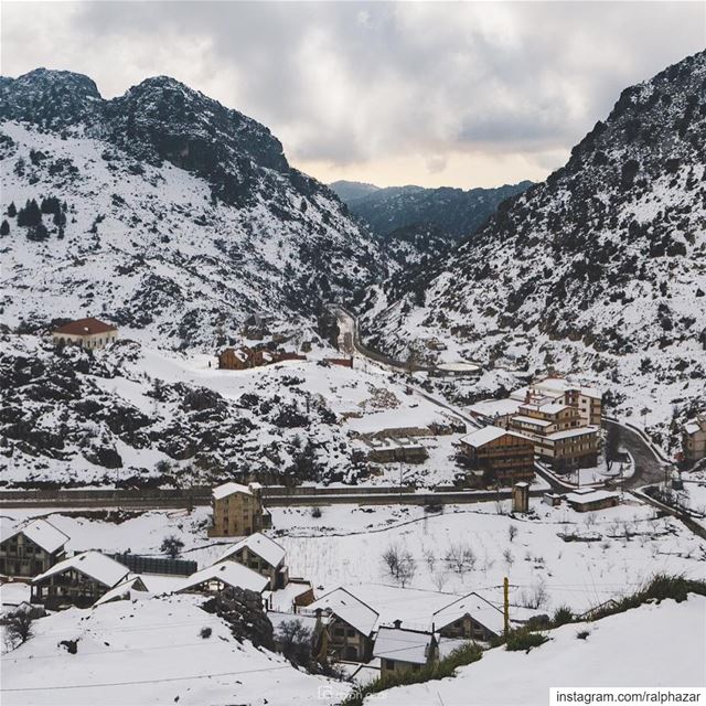  Easter, winter edition ❄️ 🏔 🌼 laqlouq  Ehmej  winter / spring 2019 ..... (El Laqloûq, Mont-Liban, Lebanon)