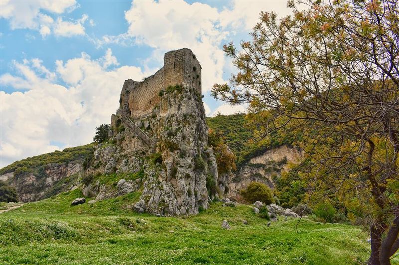Eaten by nature. 💚🍀 (Msaylha Castle)