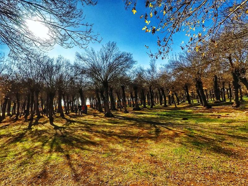  ecosystem ♻️ livelovebekaa ....... naturepainting  taanayel ... (Deïr Taanâyel, Béqaa, Lebanon)