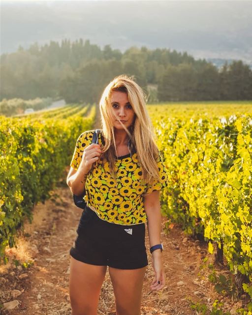 𝕀𝕟 𝕥𝕙𝕖 𝕝𝕒𝕟𝕕 𝕠𝕗 𝕨𝕚𝕟𝕖 🍷•Edits: @whereishaig (Château Kefraya)