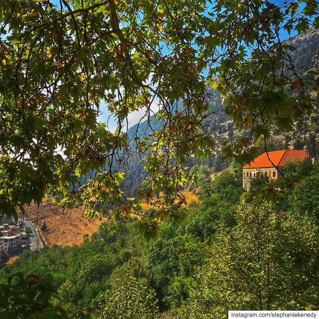 Ehden always beautiful , no matter what the weather or season 🌿🍁🍃🍂 🇱🇧
