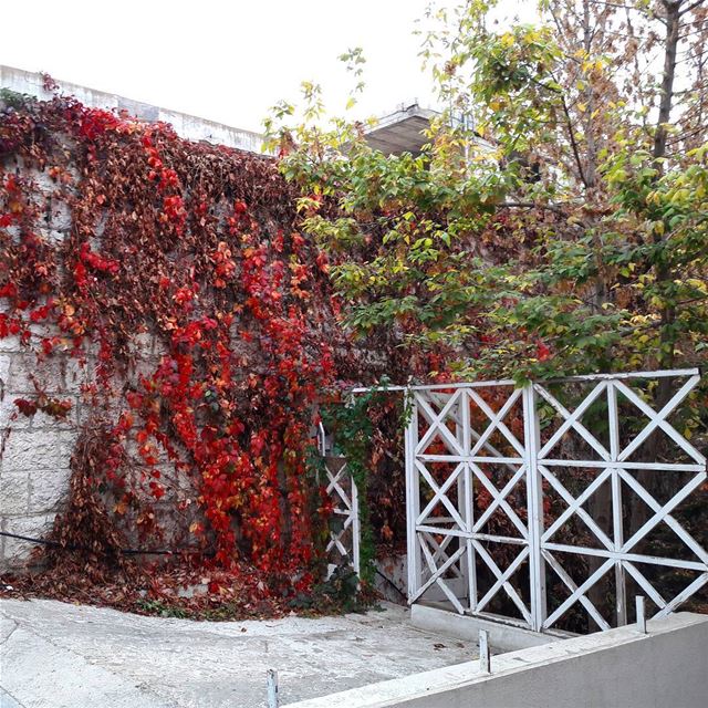  ehden  autumn liveloveehden  lebanon ... (Ehden, Lebanon)