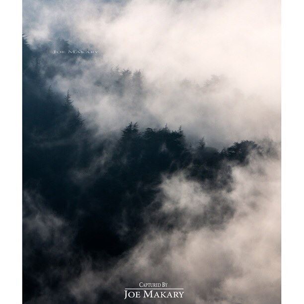  ehden  ehdenreserve  clouds  fog  trees  blackandwhite  livelovelebanon ...