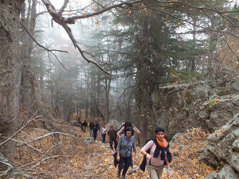  ehden  hikes  green  travel  trees  nature  culture  hiking  holidays ... (Ehden, Lebanon)