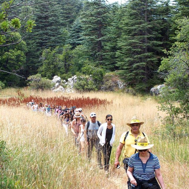  ehden  hikes  green  travel  trees  nature  culture  hiking  holidays ...