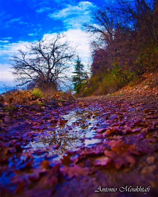 Ehden in Autumn 🍁 🍂 🍃  ehden  ehdenspirit  horshehden  autumn  autumn🍁... (Horsh Ehden)