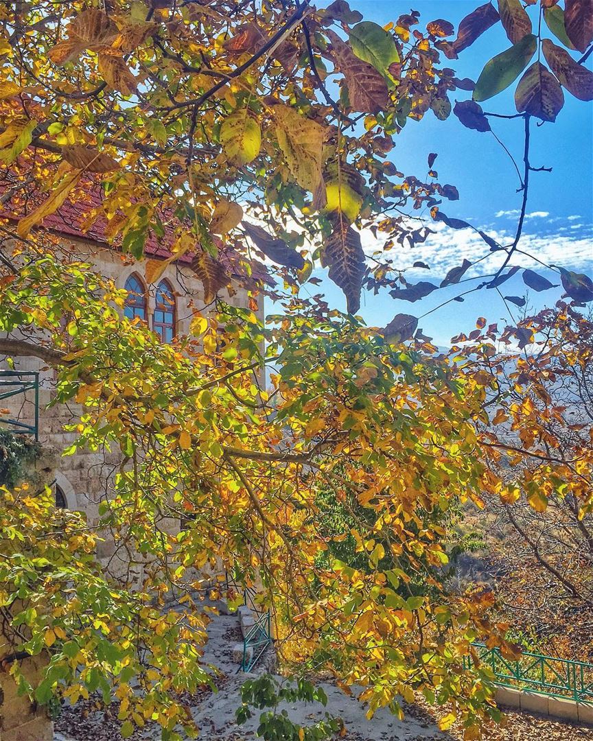  Ehden in autumn shines like a queen wearing her golden leaves crown 🍂👑🍂 (Ehden, Lebanon)