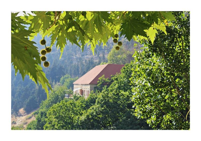 🇱🇧 (Ehden, Lebanon)