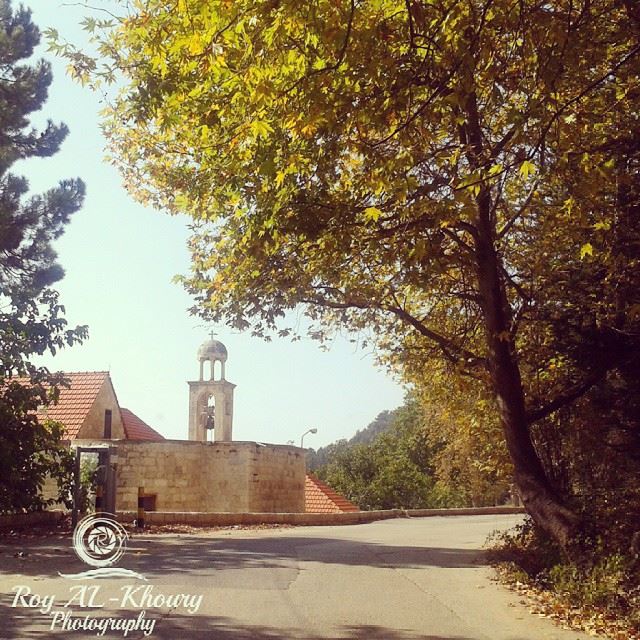  ehden  liveloveehden  LiveLoveLebanon  livelovebeirut  fall at  eden ...