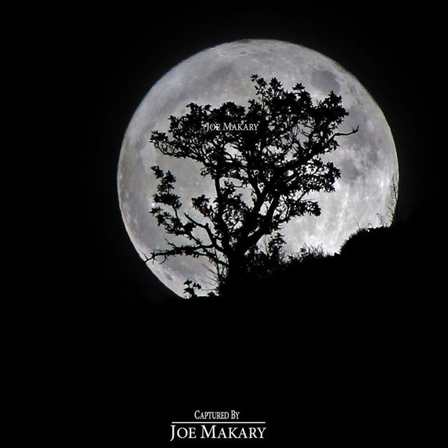  ehden  moon  supermoon  bigmoon  night  light  beautifullebanon ...