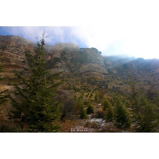  ehden  mountains  trees  clouds  beautifullebanon  wearelebanon ...