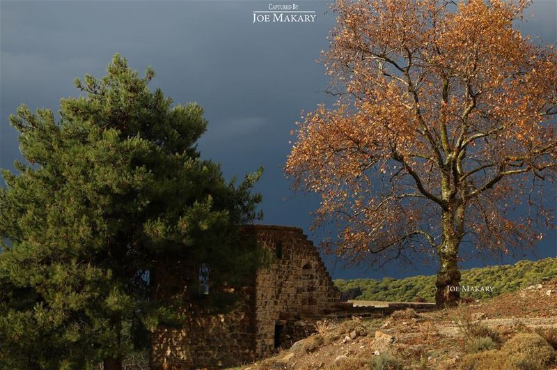  ehden  oldhouse  nature  trees  colors  clouds  thebestinlebanon ...