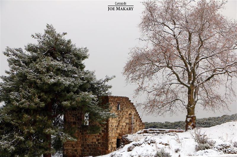  ehden  oldhouse  trees  snow  winter  clouds  beautifullebanon ...