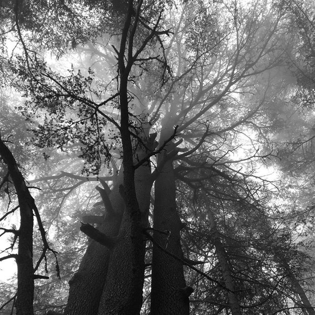 Ehden Reserve 🍂 ...