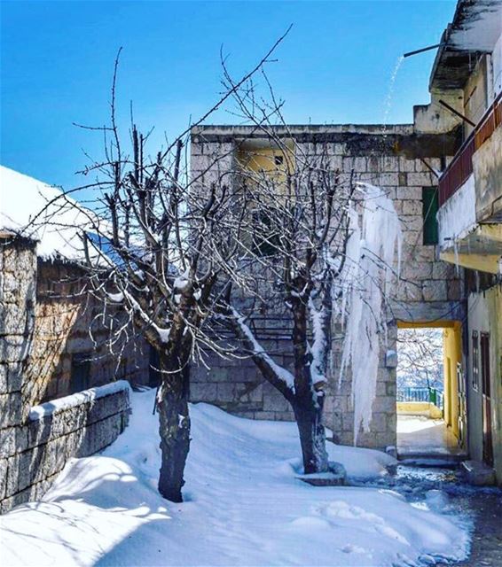  Ehden 💙🗻❄️ where nature is a Masterpiece 🙏... (Ehden, Lebanon)