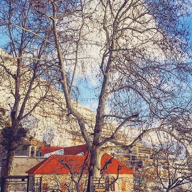 Ehden ❤️