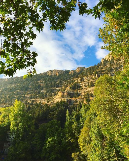 Ehden