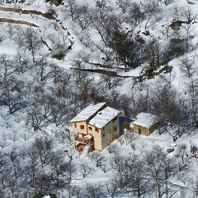EHDEN 💛💚💙