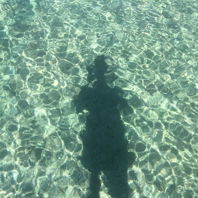 ... (El Bayâda, Al Janub, Lebanon)
