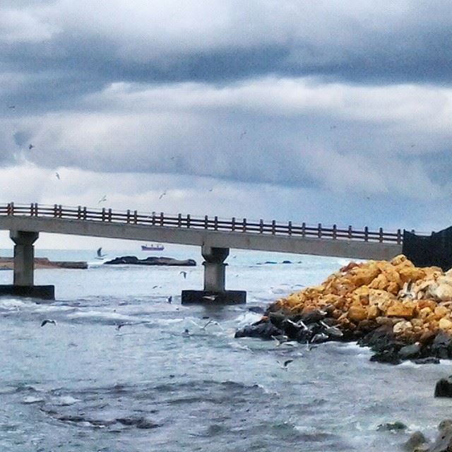 El Mina...  TripoliLB  Tripoli  ElMina  North_Lebanon  Lebanon  Lebanese ...