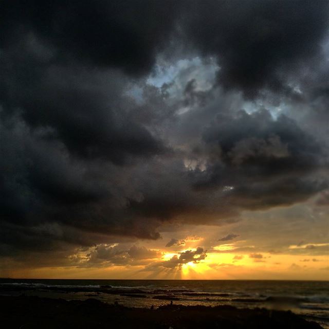 El oro del cielo -  ichalhoub in  Tripoli north  Lebanon shooting with a...