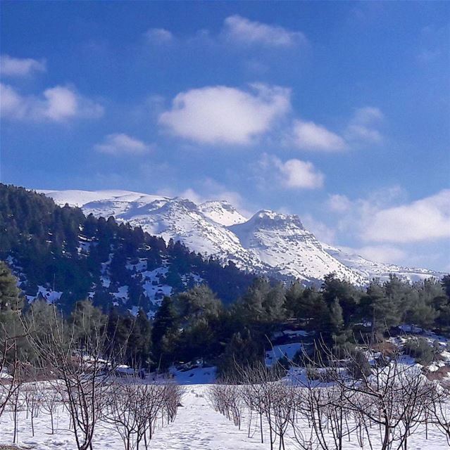El Qammouaa, one of the most impressive natural spots in Lebanon. It's... (El Qammoûaa)