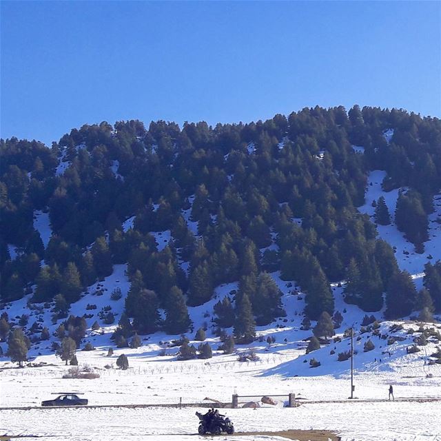 El Qammouaa, one of the most impressive natural spots in Lebanon. It's... (El Qammoûaa)