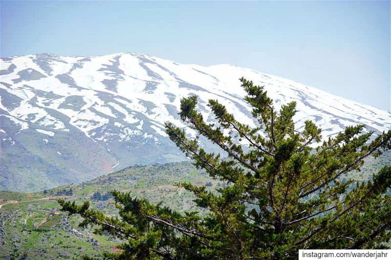 El Sheikh from our side! 💙 lebstory  lebanontraveler  lebanonbyalocal ... (Mount Hermon)