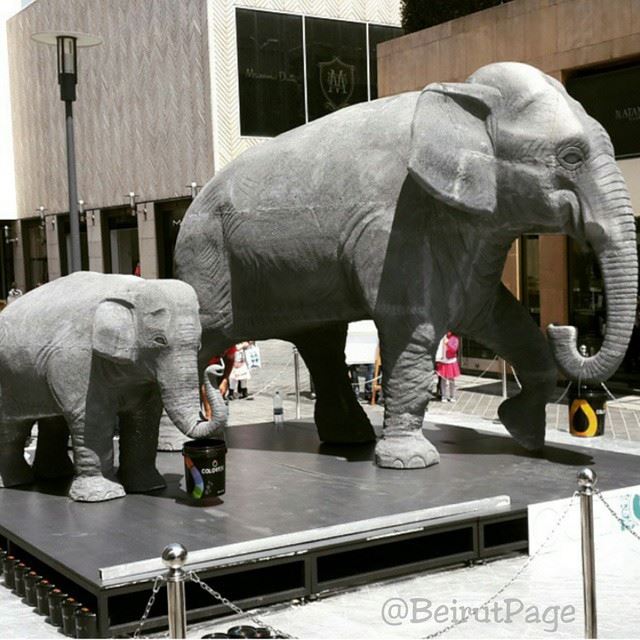 Elephants in Downtown Beirut ?!!!