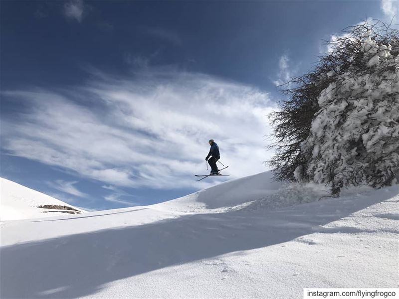 "Elevation snow mode"... FLYINGFROGCO  FLYINGFROG  skiing  ski  snow ...